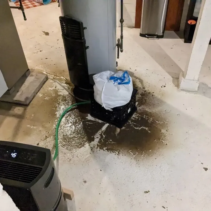 Sewage Backup Cleanup Service in Berkeley, MO